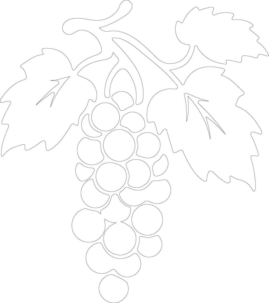 grape  outline silhouette vector