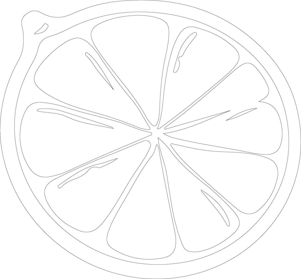 lime  outline silhouette vector