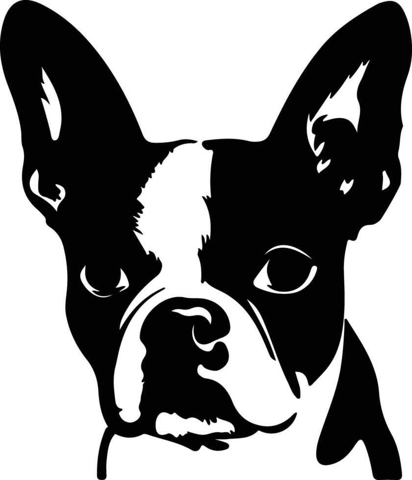 Boston Terrier   black silhouette vector