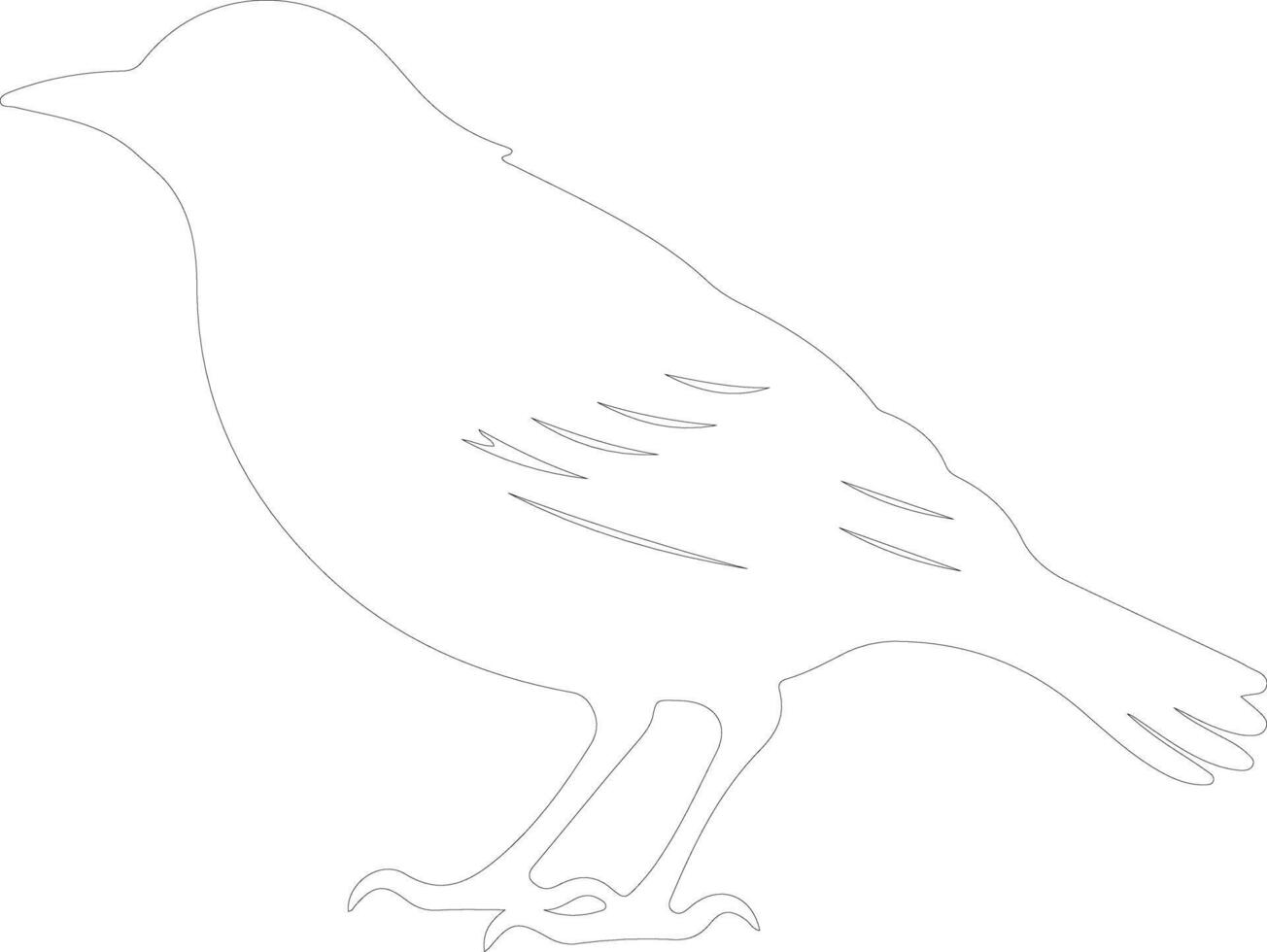 starling   outline silhouette vector