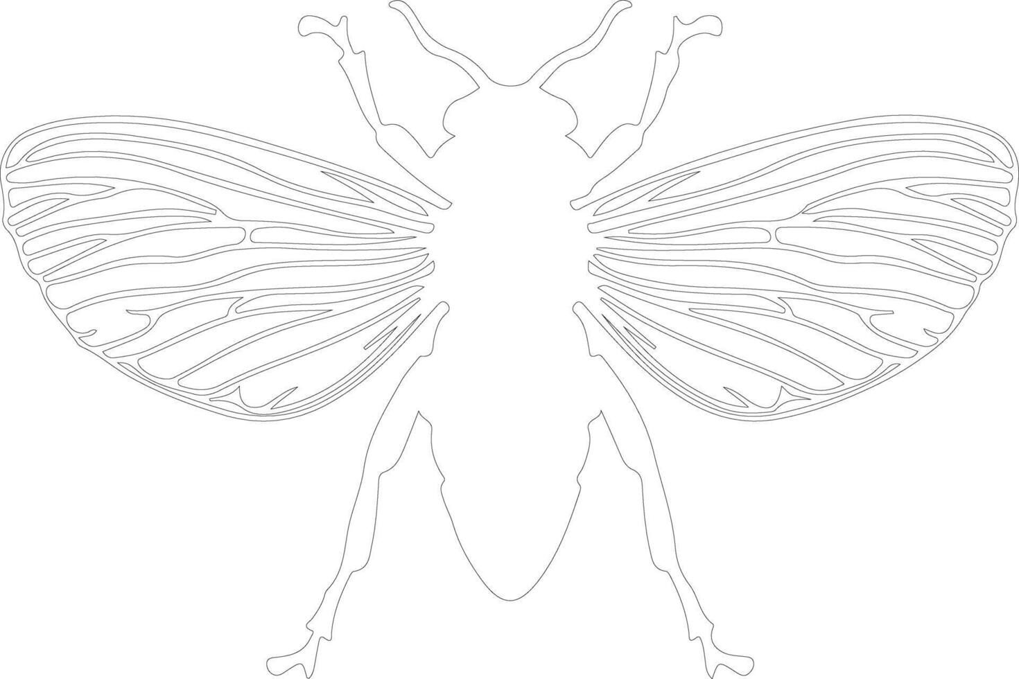 cicada outline silhouette vector