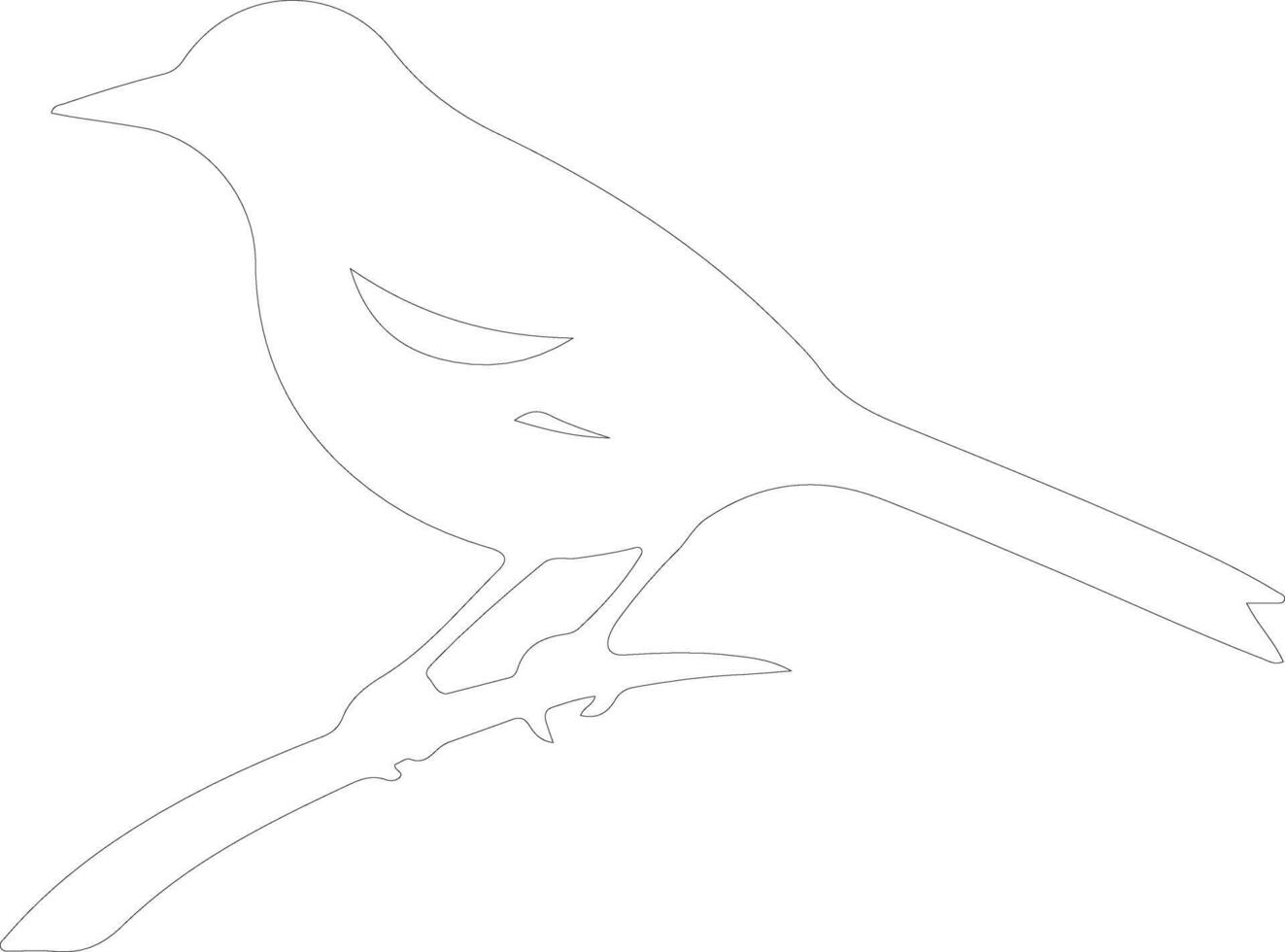 oriole  outline silhouette vector