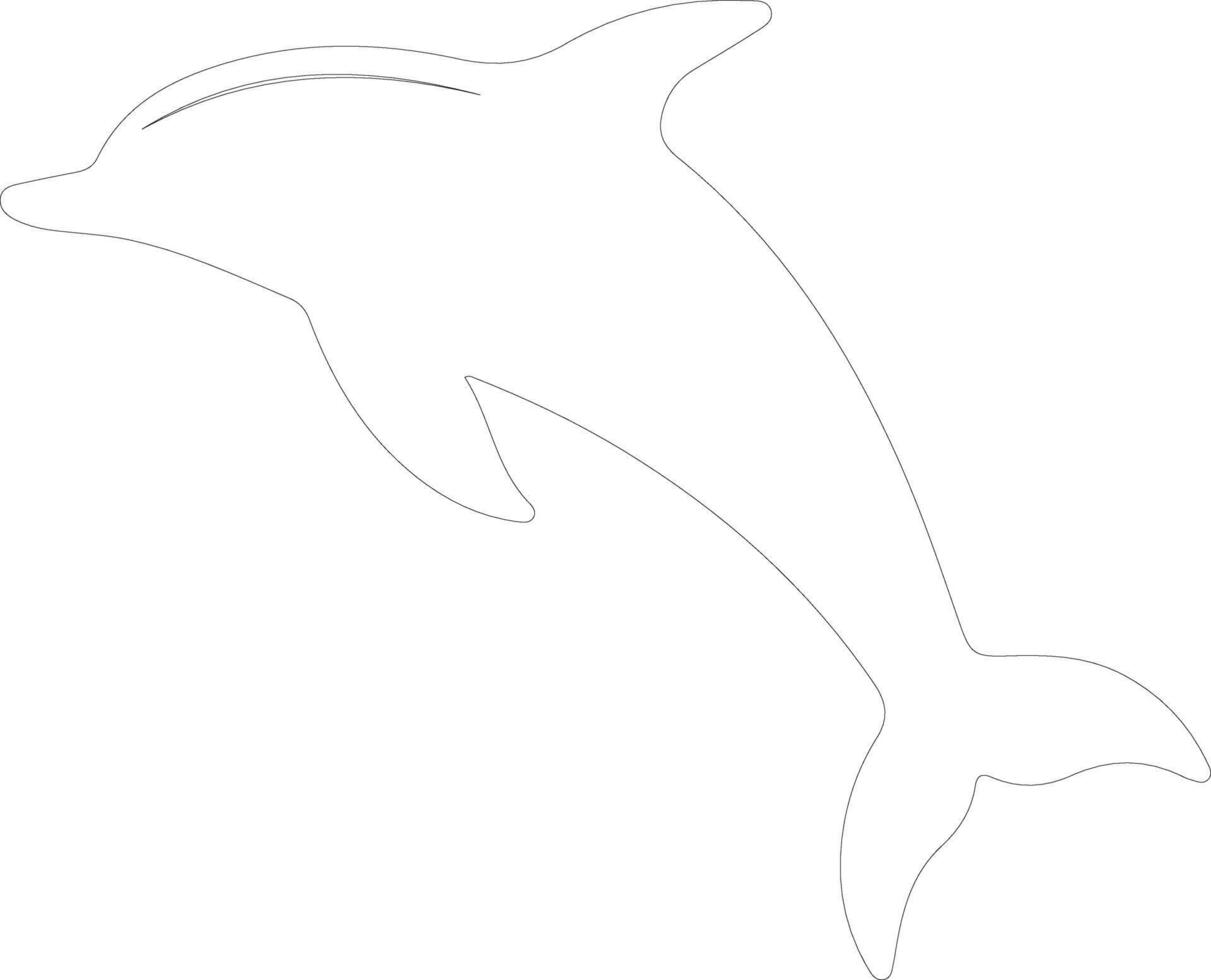 white-spotted dolphin  outline silhouette vector