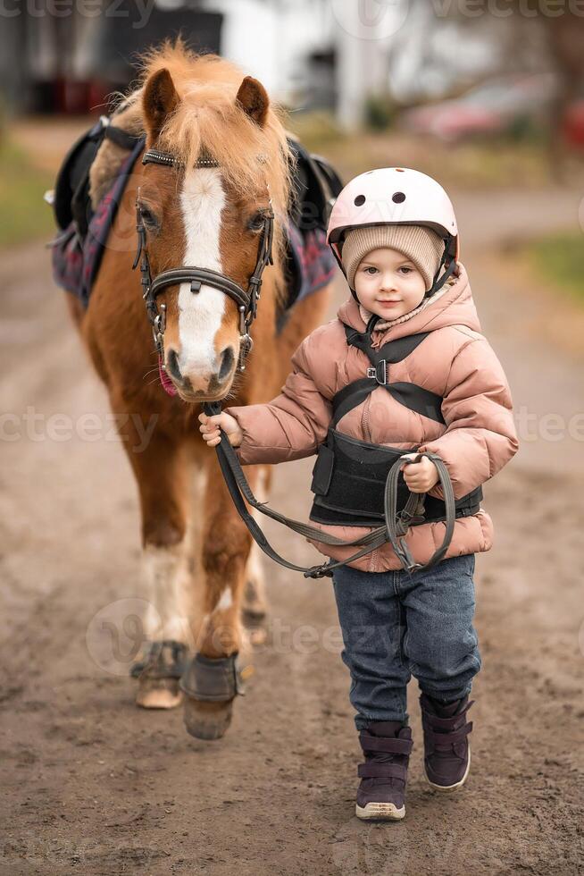 Little girl in protective jacket and helmet with her brown pony before riding Lesson photo