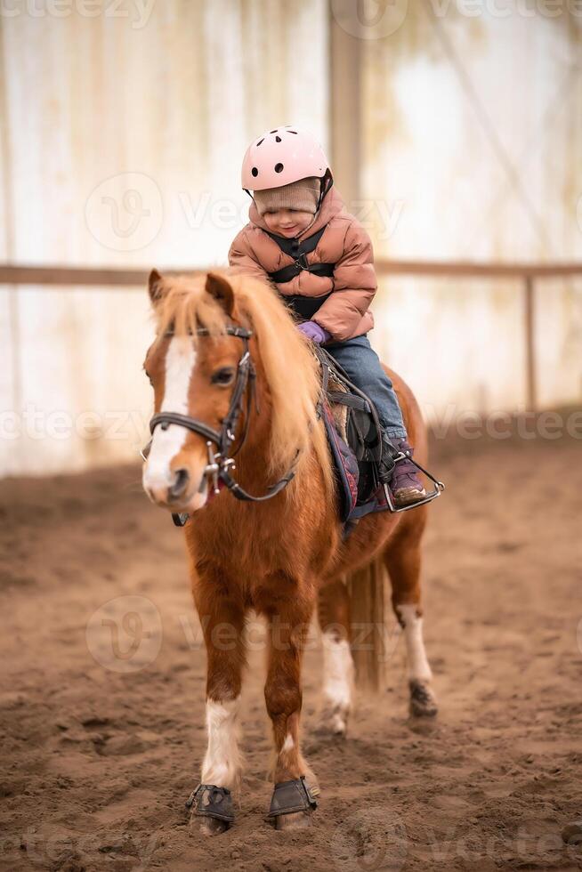 Little Child Riding Lesson. Three-year-old girl rides a pony and does exercises photo