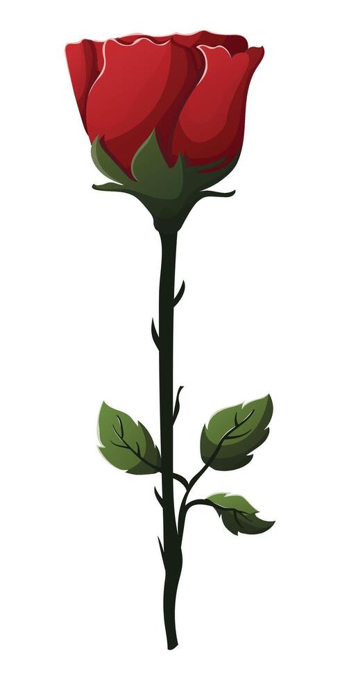 free vector rose flower illustration