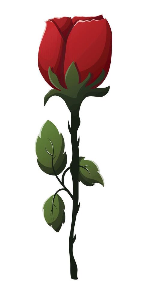 valentine vector rose flower illustration