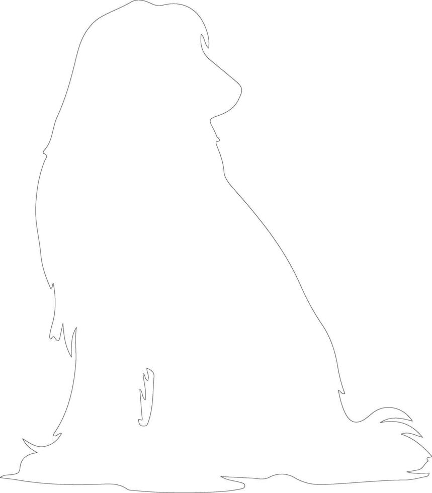 Afghan Hound  outline silhouette vector