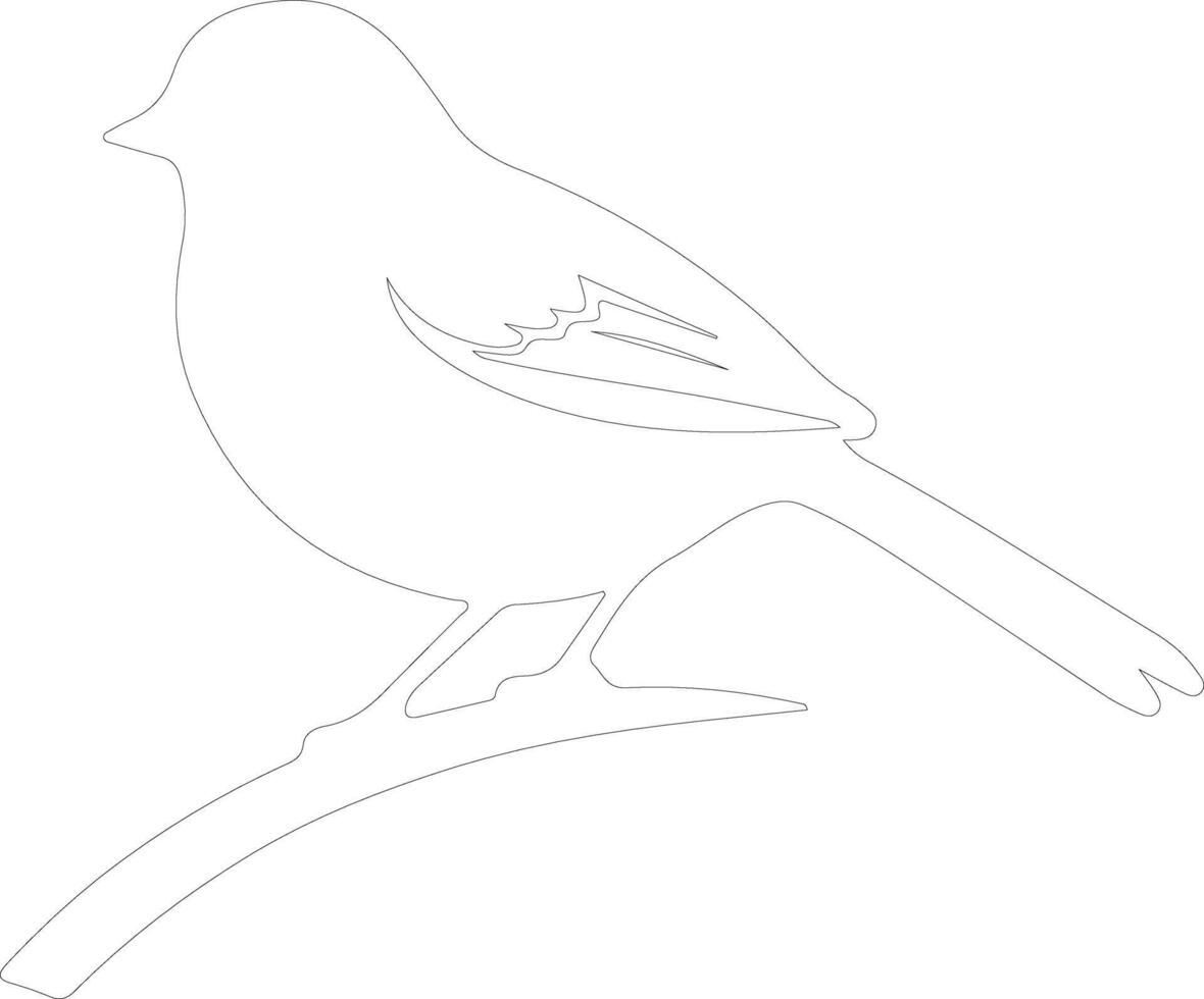 dark-eyedjunco outline silhouette vector