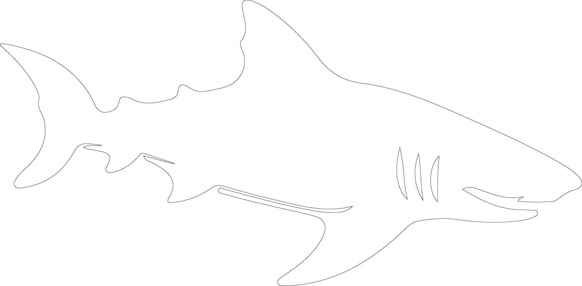 basking shark  outline silhouette vector