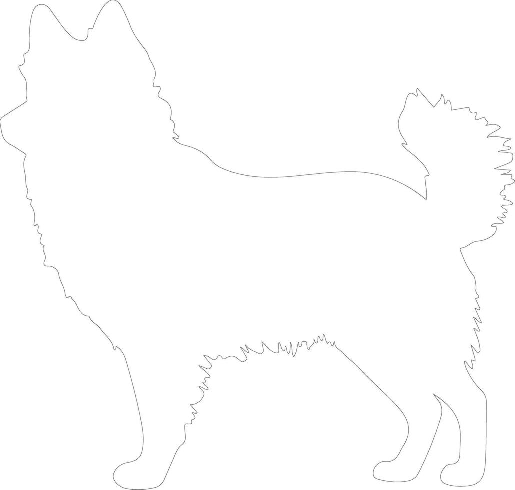 Schipperke outline silhouette vector