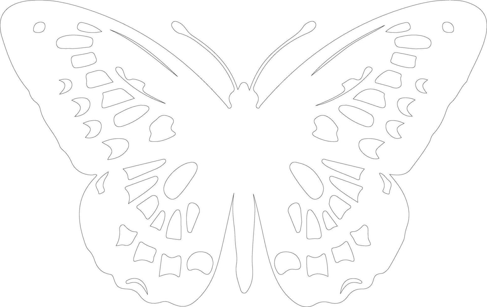 Oregon silverspot butterfly  outline silhouette vector