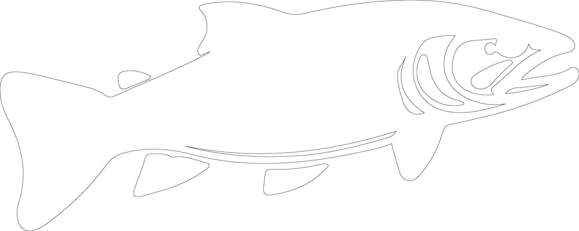 lake trout  outline silhouette vector