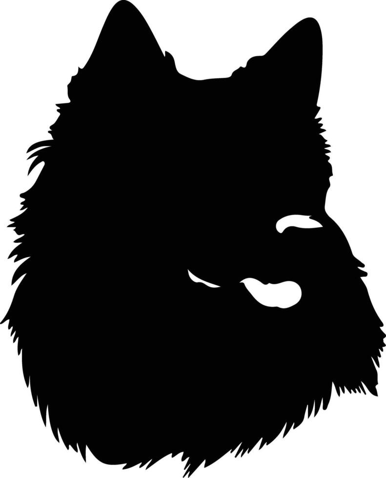 Schipperke  silhouette portrait vector