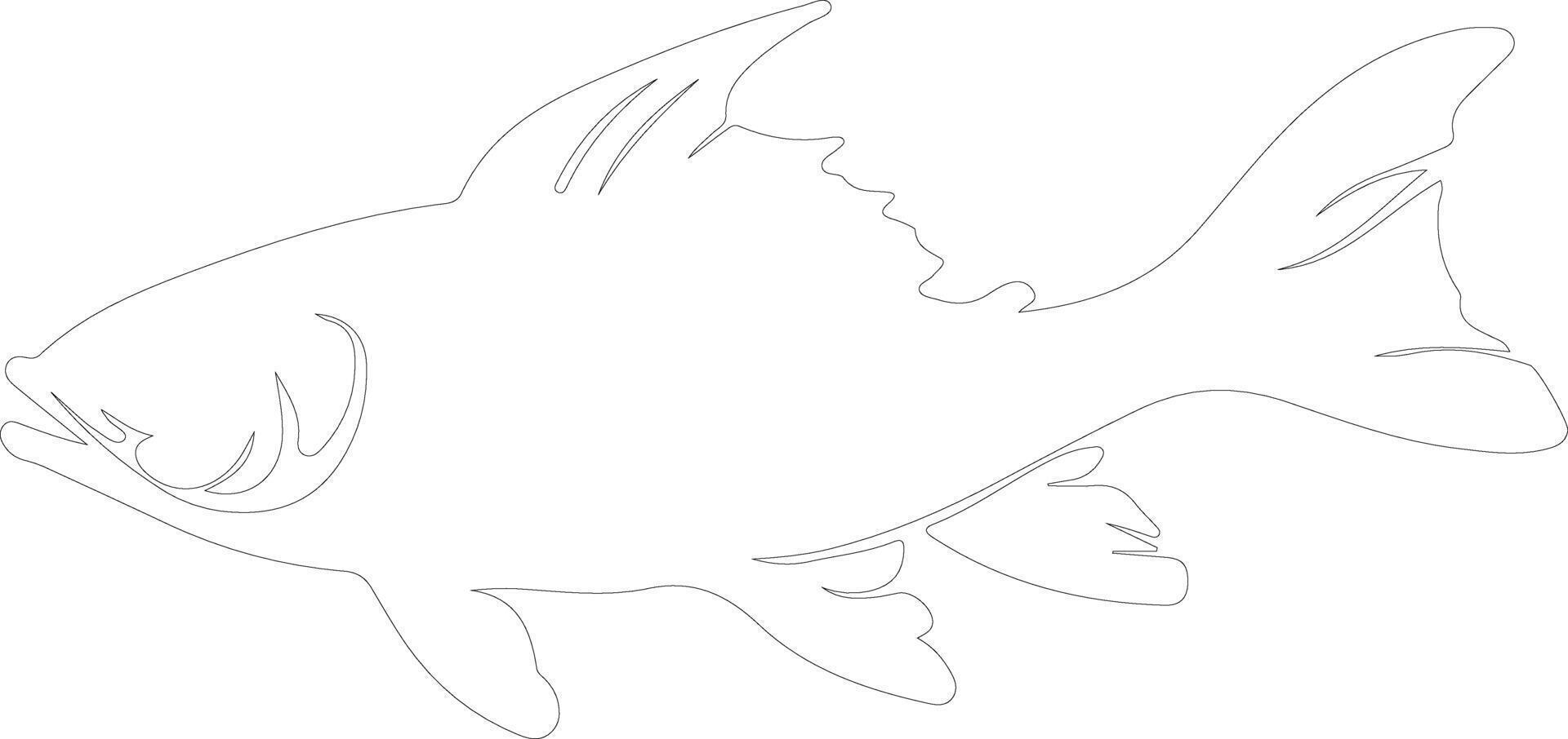 coelacanth outline silhouette vector