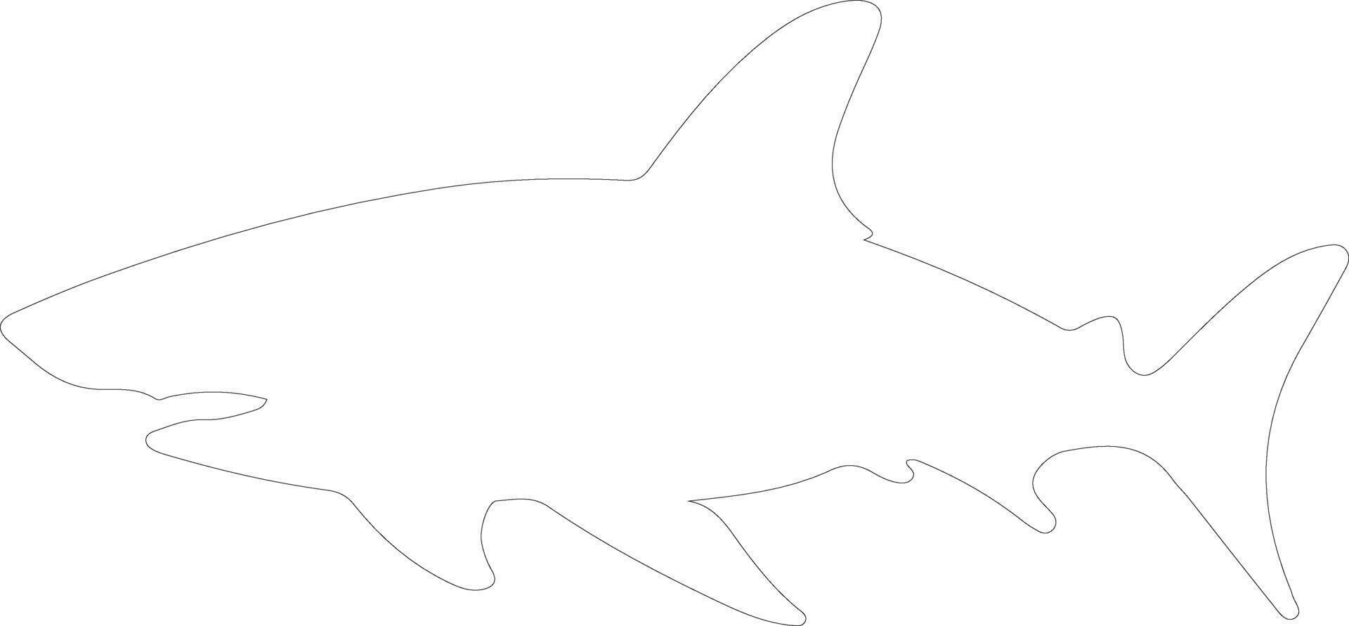 Port Jackson shark   outline silhouette vector