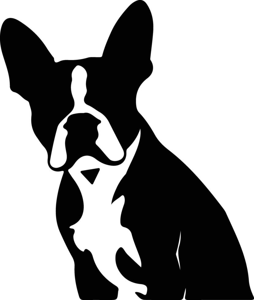 Boston Terrier   black silhouette vector