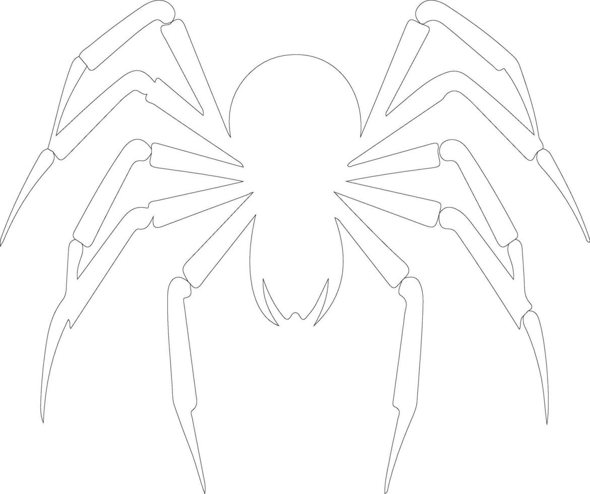 arachnid  outline silhouette vector