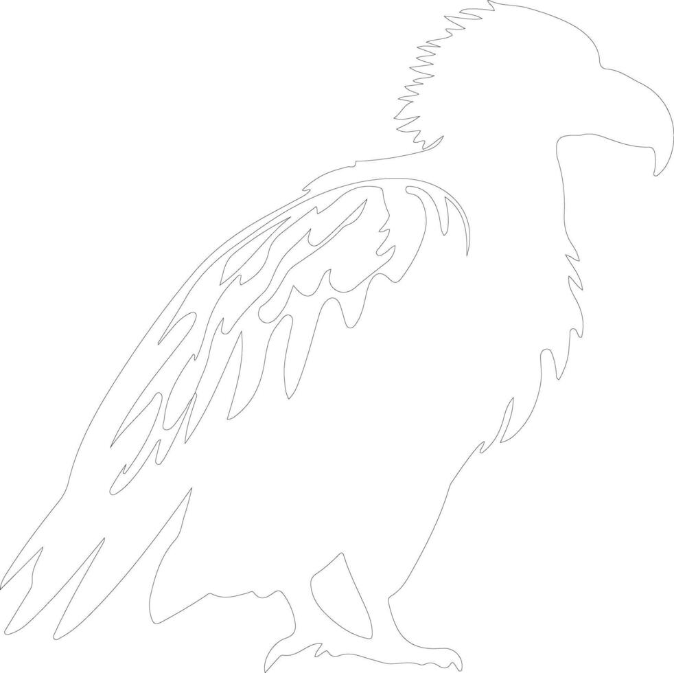 vulture  outline silhouette vector