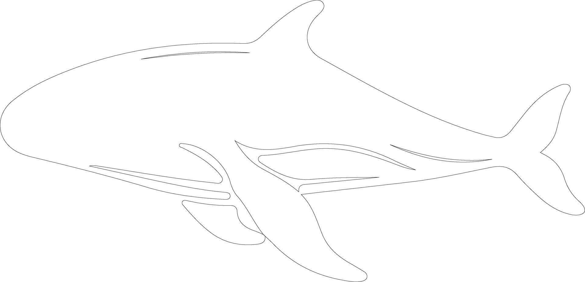 whale outline silhouette vector