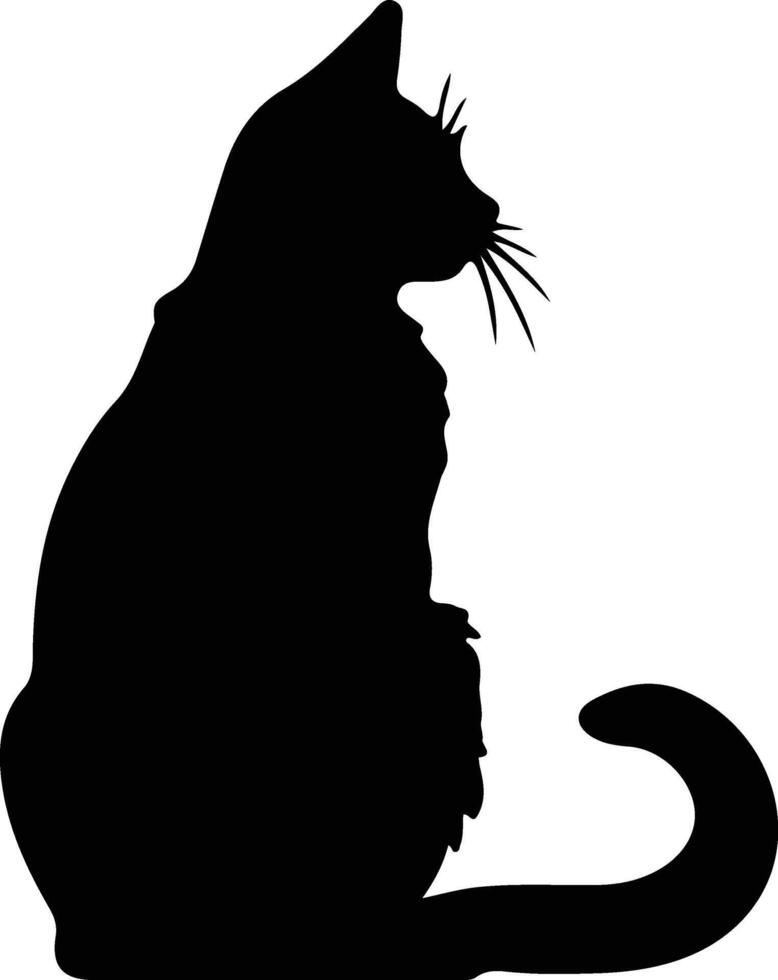 Bambino Cat  black silhouette vector