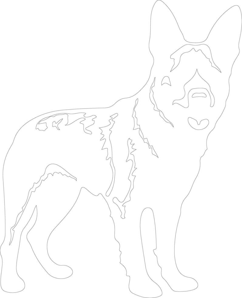 Australian Cattle Dog  outline silhouette vector