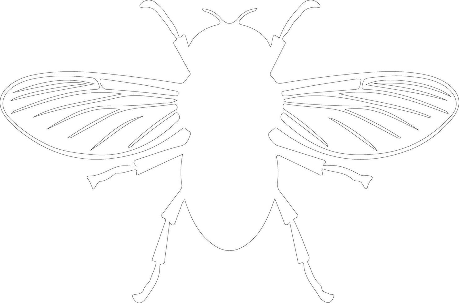 house fly  outline silhouette vector