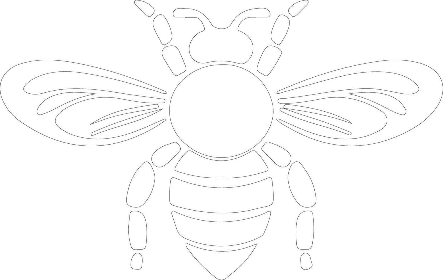 honey bee  outline silhouette vector