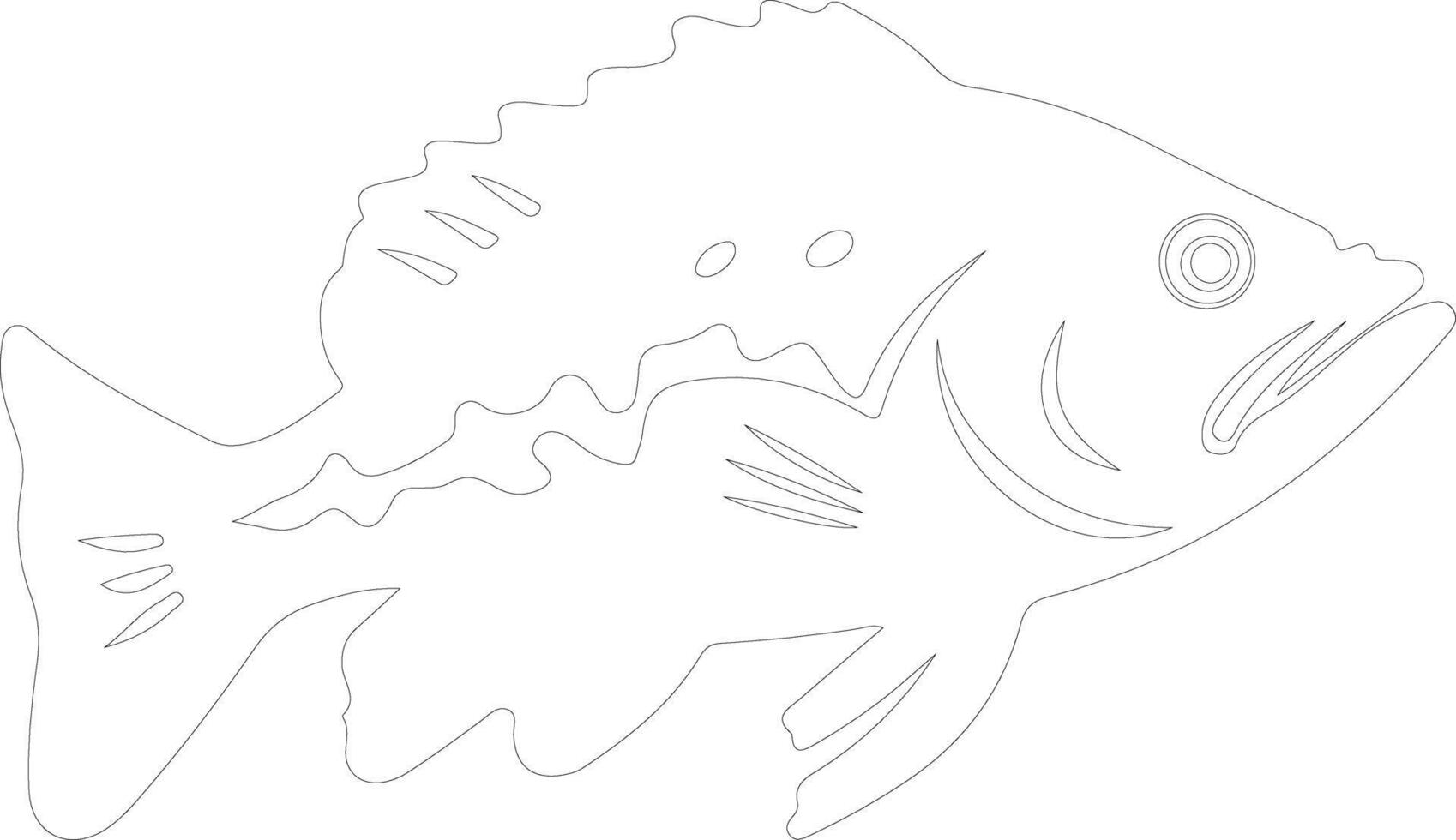 grouper  outline silhouette vector