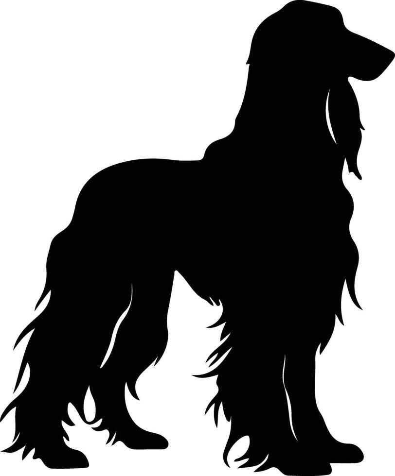Afghan Hound  black silhouette vector