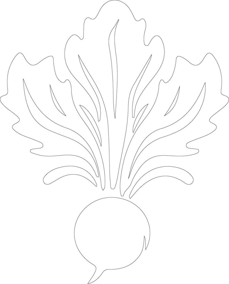 kohlrabi  outline silhouette vector