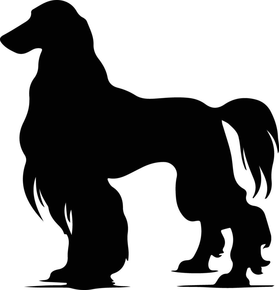 Afghan Hound  black silhouette vector