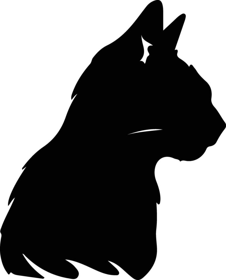 European Shorthair Cat silhouette portrait vector