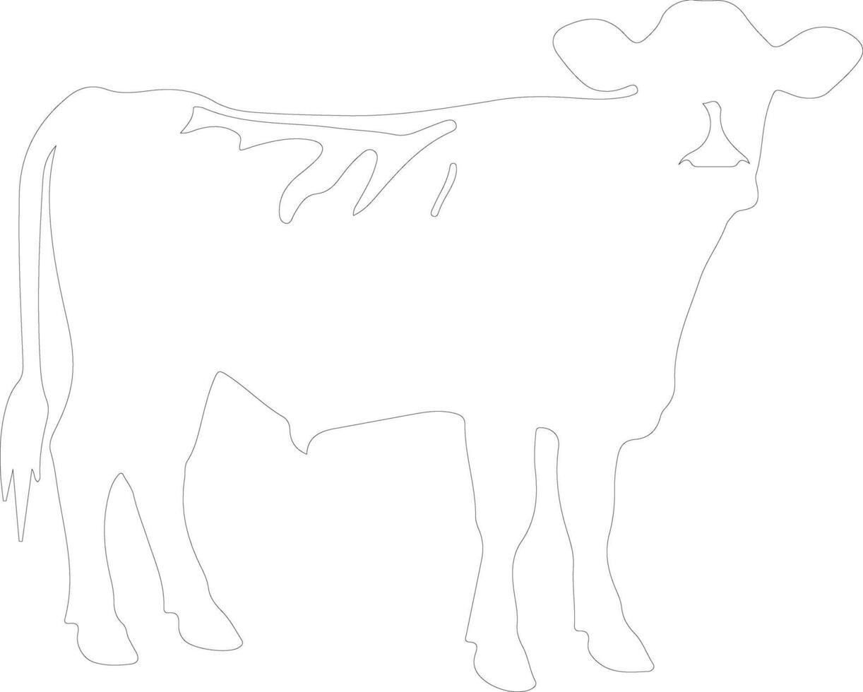 cattle outline silhouette vector