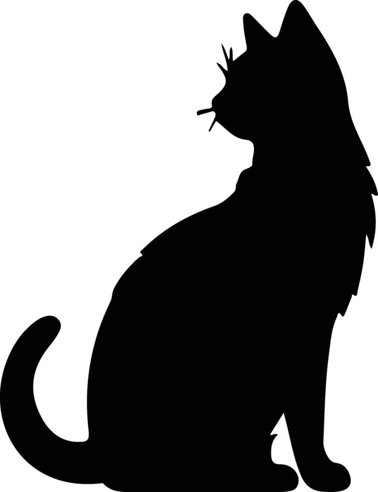 European Shorthair Cat  black silhouette vector