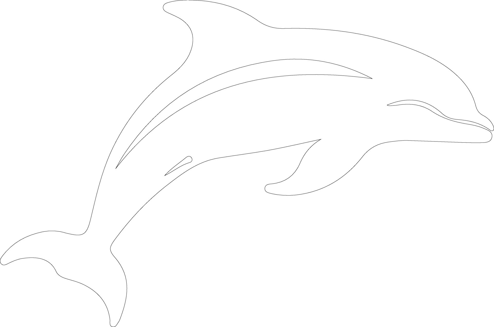 spectacled porpoise outline silhouette 38491077 Vector Art at Vecteezy