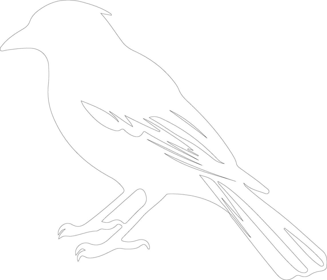 jay  outline silhouette vector