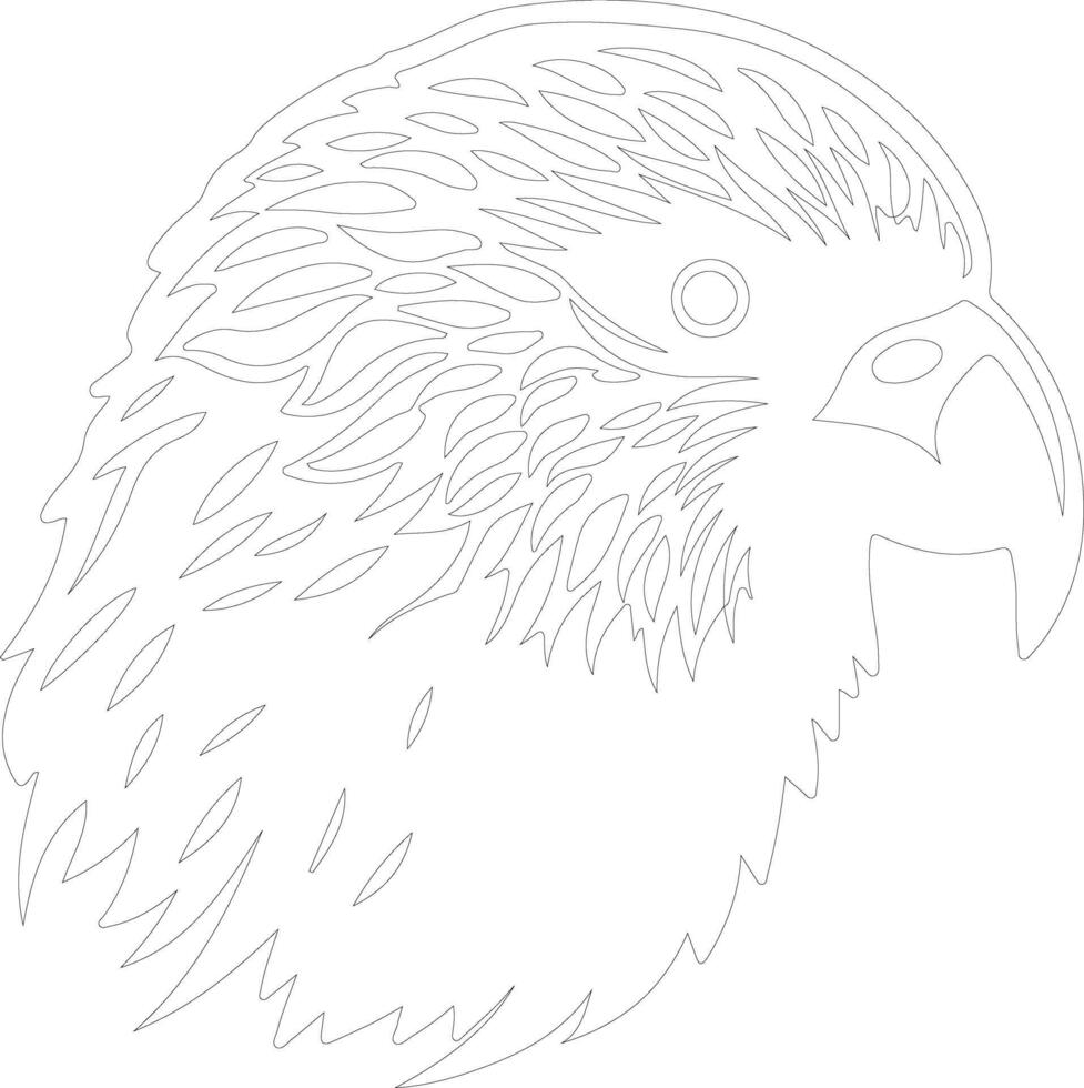 kakapo  outline silhouette vector
