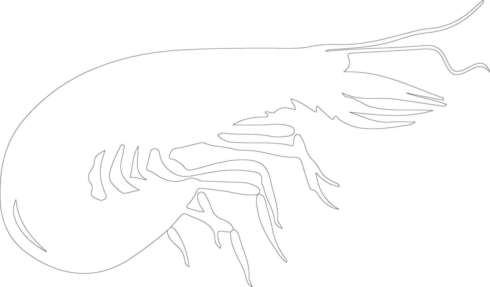 shrimp outline silhouette vector