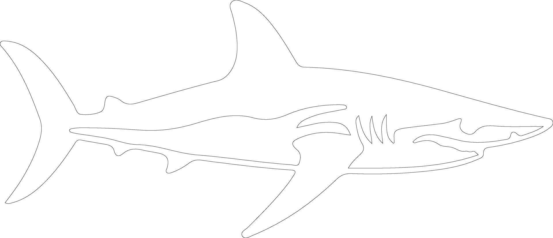 mako tiburón contorno silueta vector