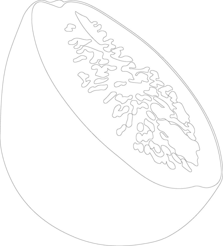 cantaloupe  outline silhouette vector