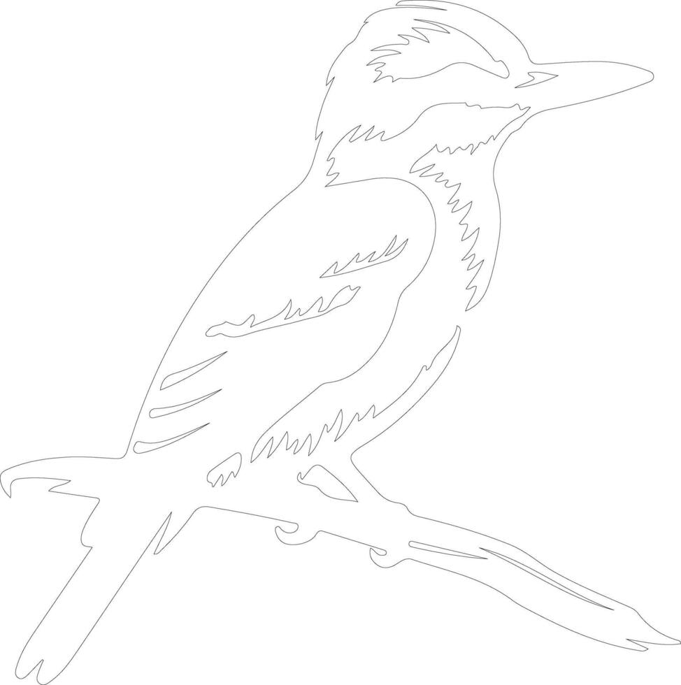 Kookaburra contorno silueta vector