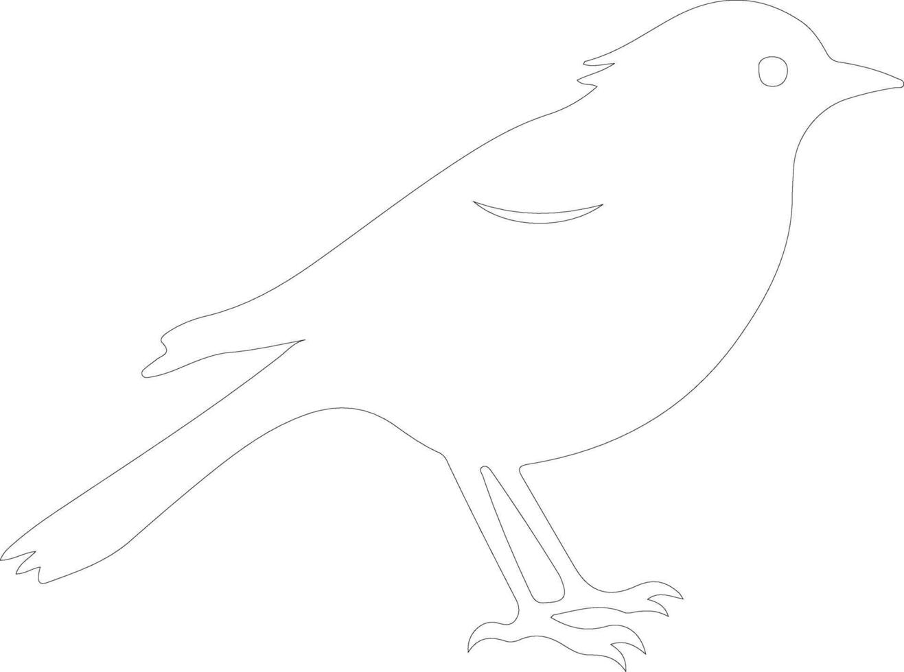 American Robin  outline silhouette vector