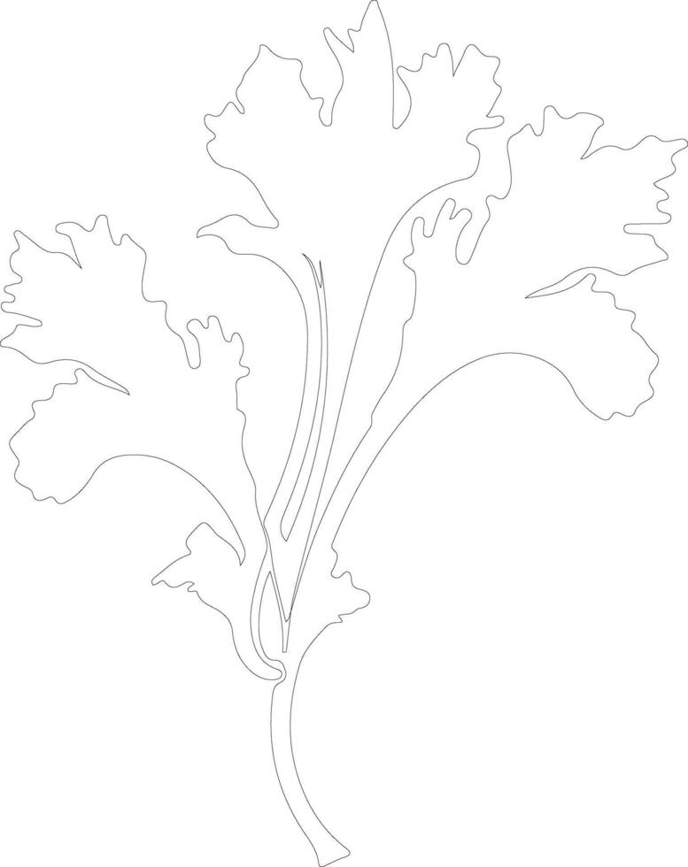 rhubarb  outline silhouette vector