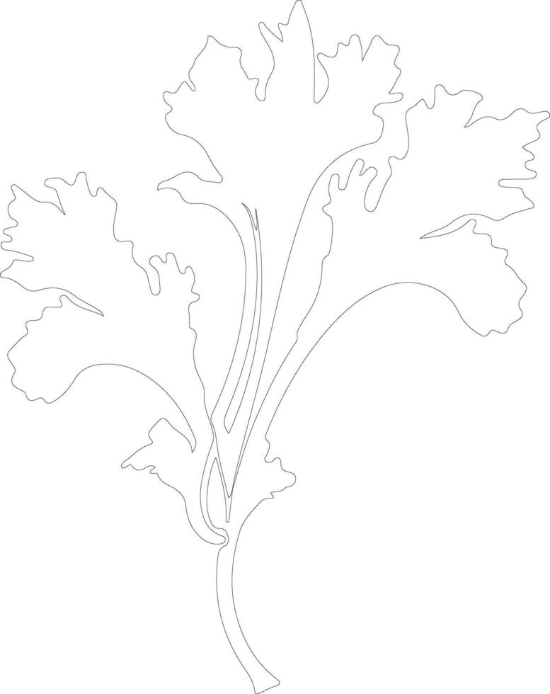 rhubarb  outline silhouette vector