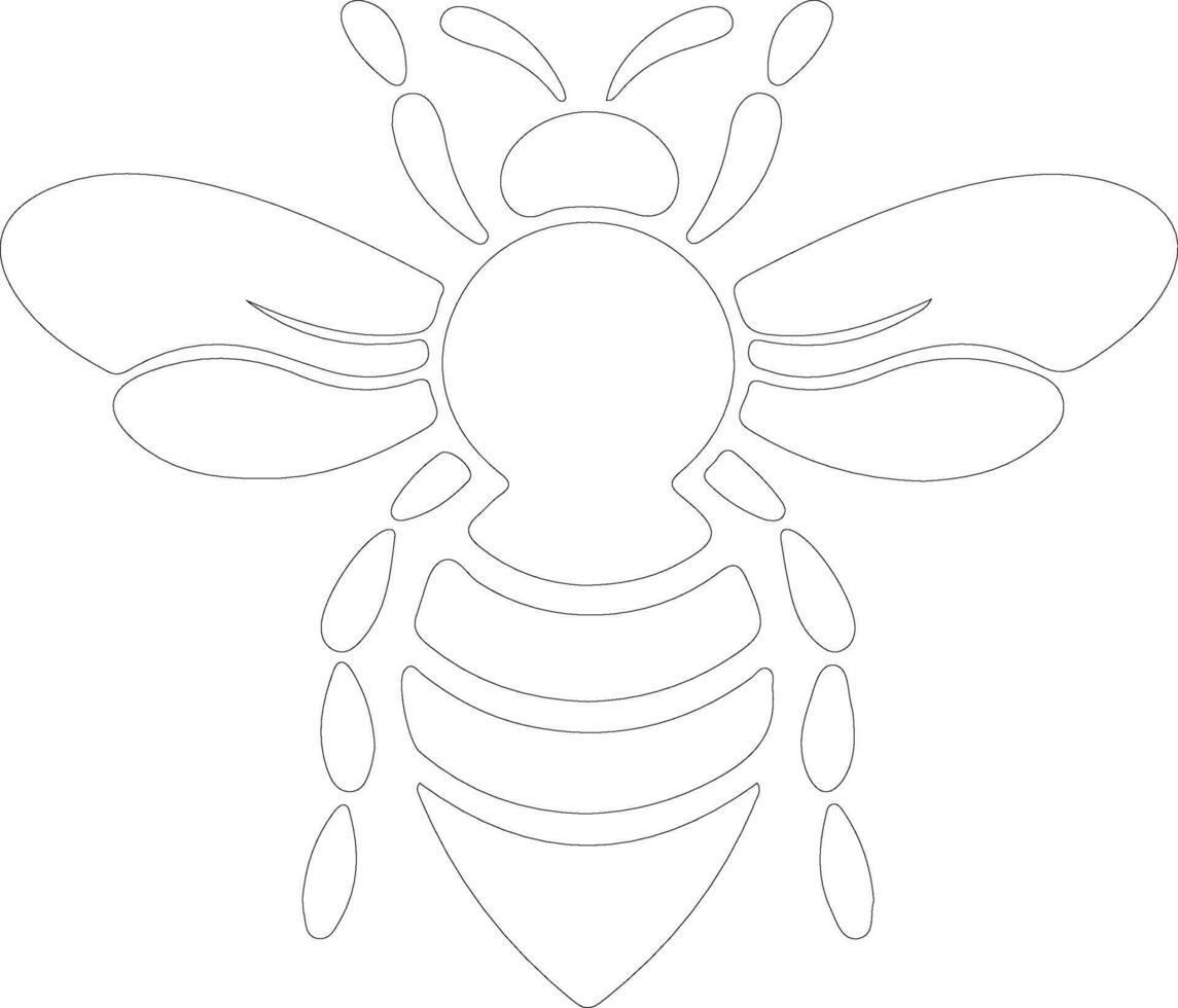 honey bee  outline silhouette vector