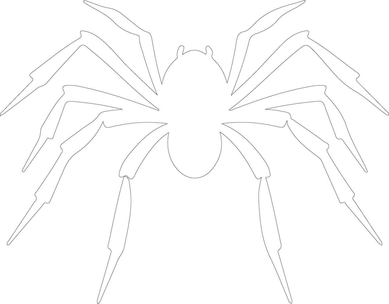 spider   outline silhouette vector