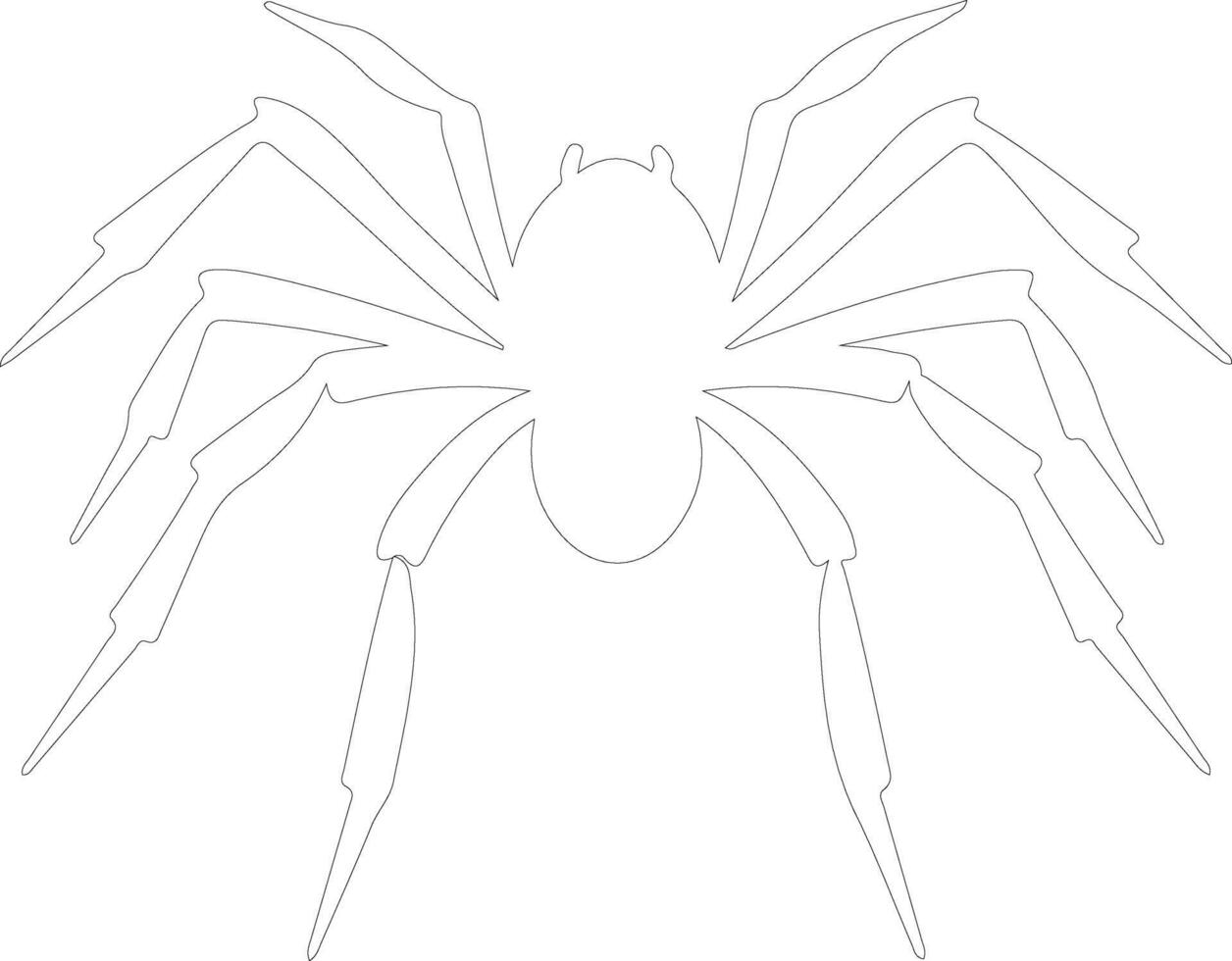 spider   outline silhouette vector