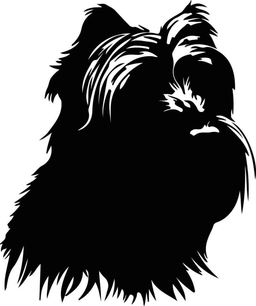 Briard    black silhouette vector