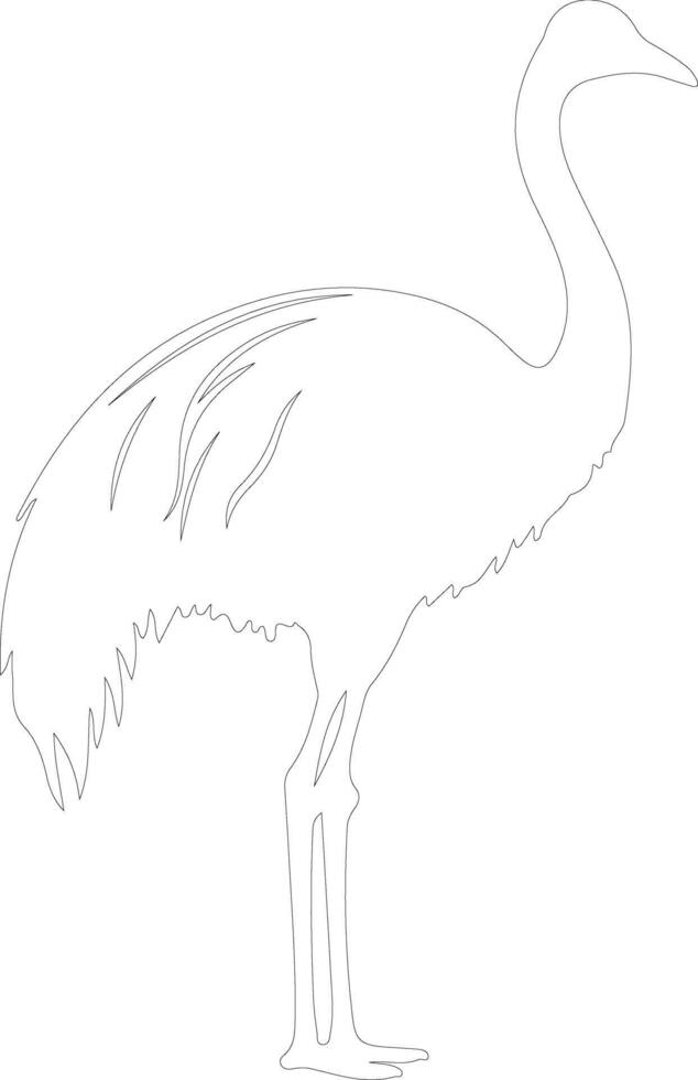 ostrich  outline silhouette vector